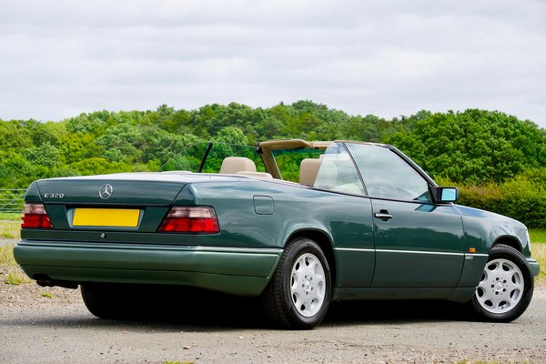 Welche natÃ¼rlichen Heilmittel kÃ¶nnen bei der Entgiftung des KÃ¶rpers helfen?